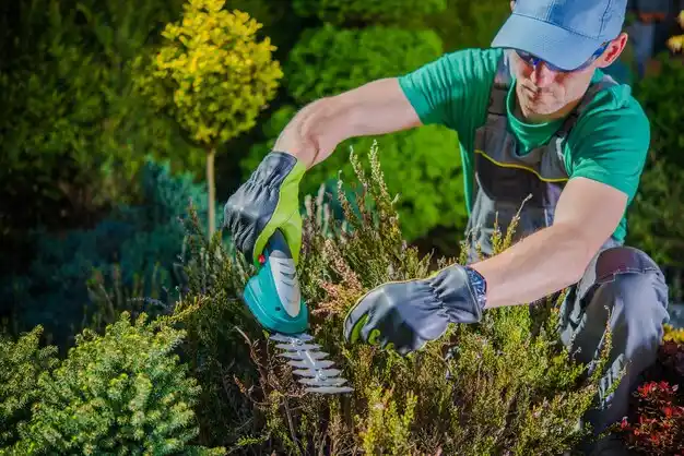 landscaping services New Hempstead